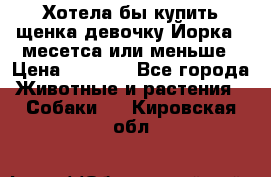 Хотела бы купить щенка девочку Йорка 2 месетса или меньше › Цена ­ 5 000 - Все города Животные и растения » Собаки   . Кировская обл.